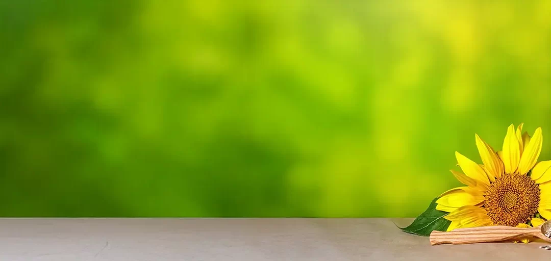 The Science On Seed Oils: Why Doctors Say They’re Safe